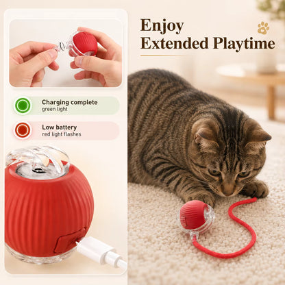 Interactive Ball Toy Cat/Dog